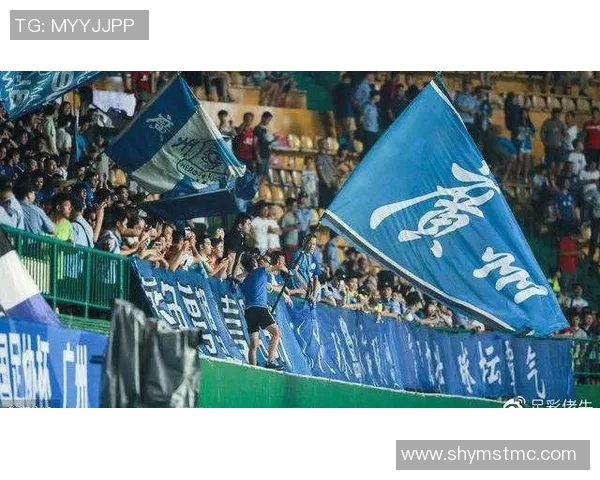 中超激战天津泰达迎战广州富力期待精彩对决与进球盛宴